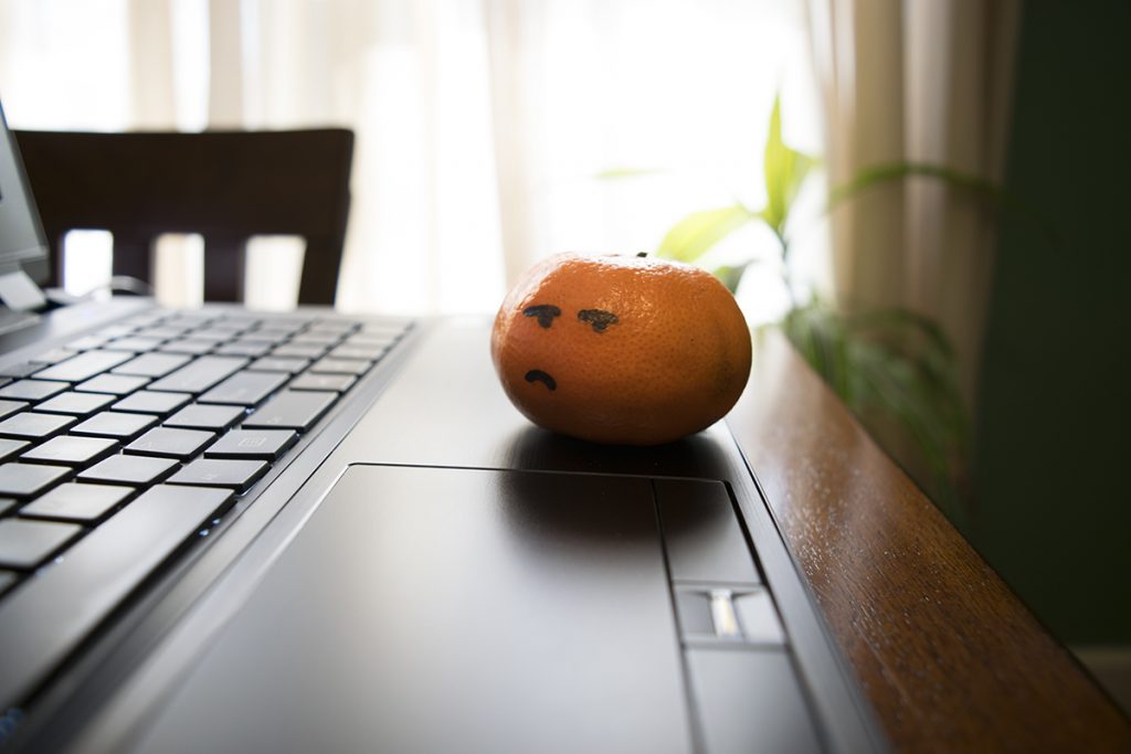 An orange browsing the web